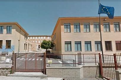 Primaria nardi